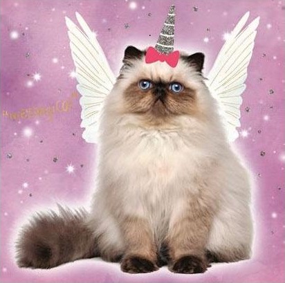 (image for) Meowgical Cat Unicorn Card (ANA32502) - Click Image to Close