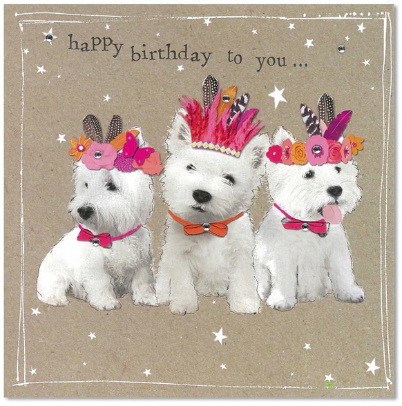 Happy Birthday Card (FAN119)