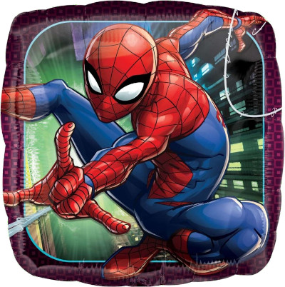 (image for) Spiderman Action Foil